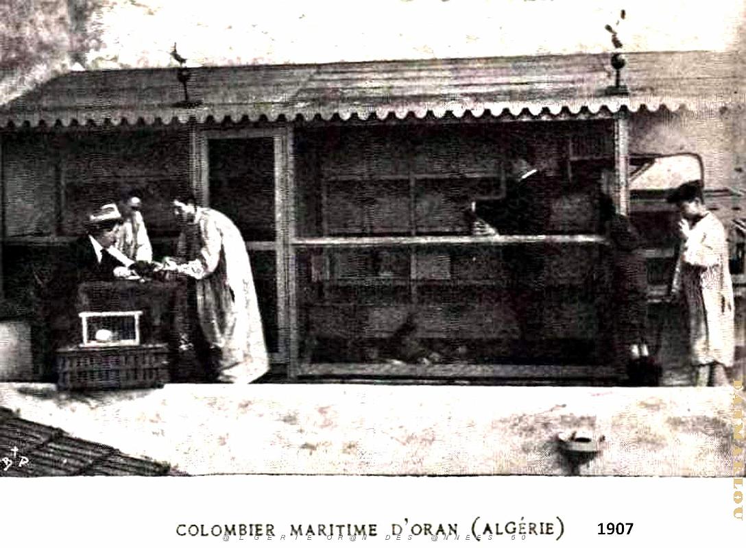 Oran - Colombier Maritime - 1907.jpg